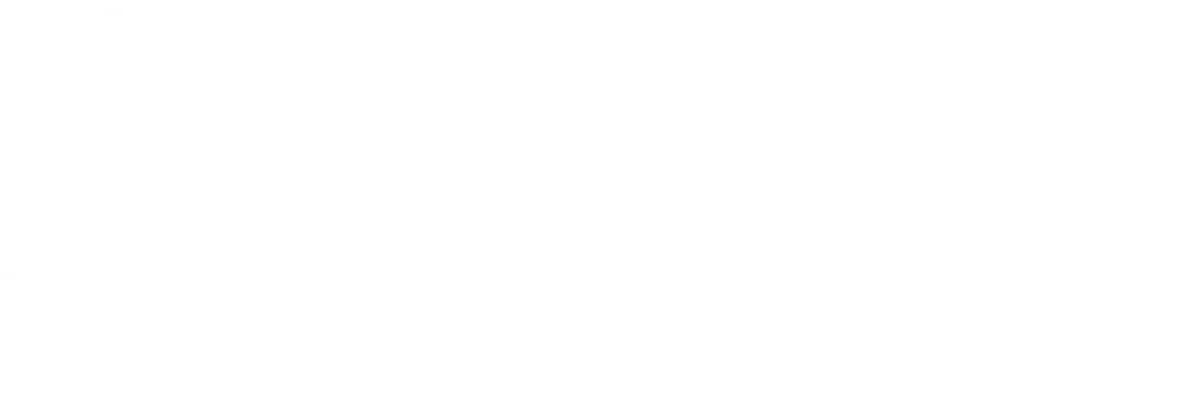 spei pago